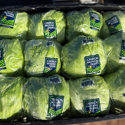 Bags of packaged leafy greens
