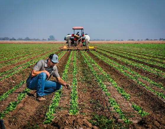 Aerial view of a tractor driving through a green field
