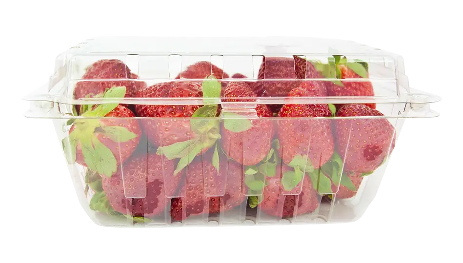Crate of fresh red cherries