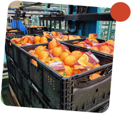 Stacked crates of wrapped produce ready for shipping